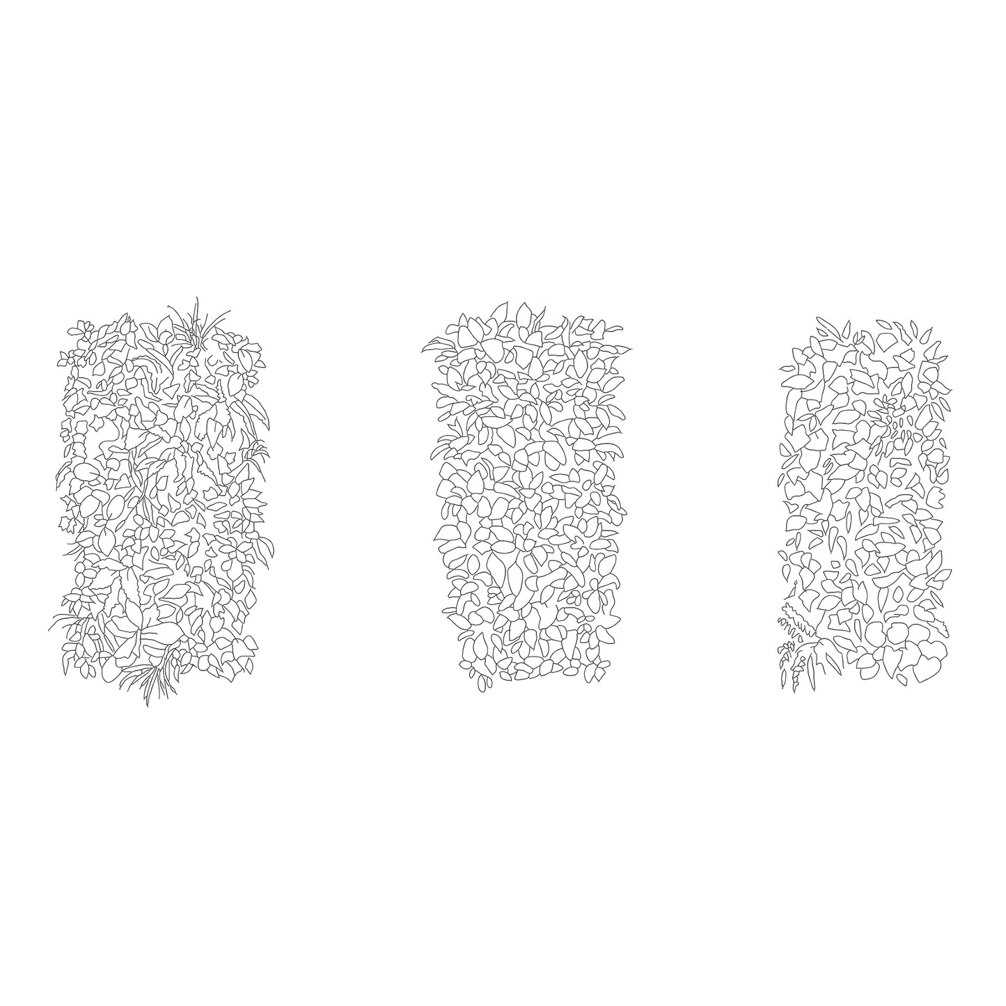 CAD drawing of three rectangular Green Walls. Black and White