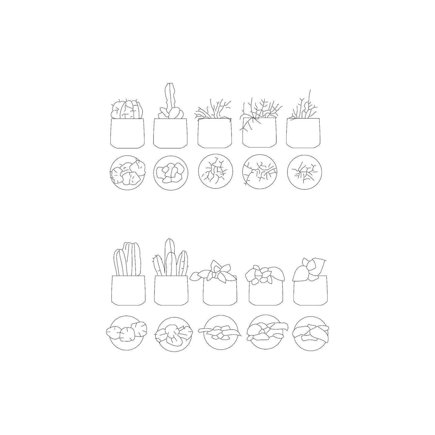 Potted Plants DWG CAD Blocks in Plan and Elevation