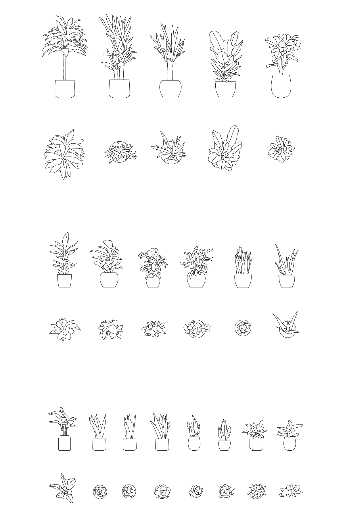 Potted Plants DWG CAD Blocks in Plan and Elevation