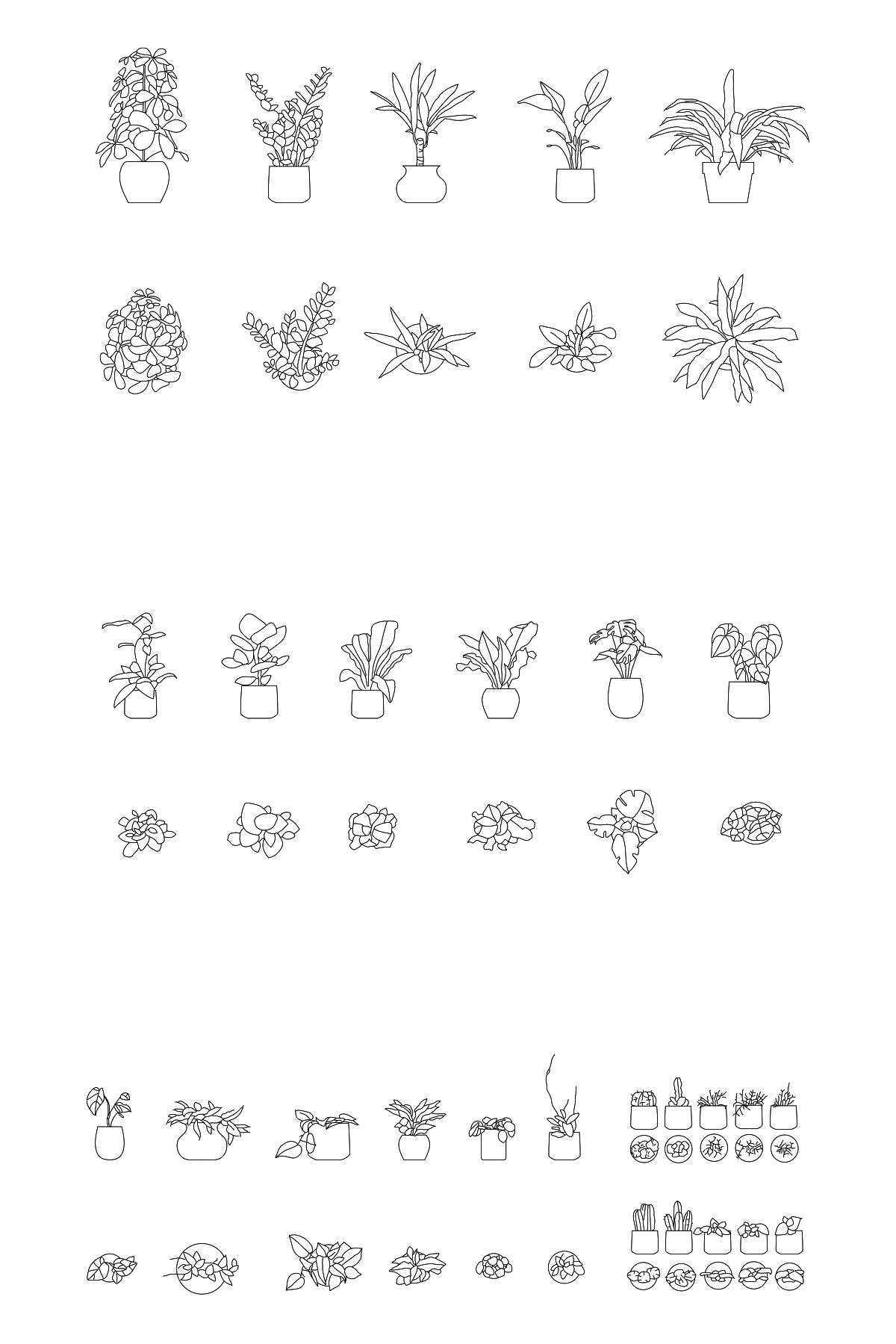 Potted Plants DWG CAD Blocks in Plan and Elevation