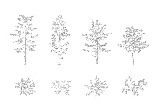 dwg drawings of four deciduous trees in plan and elevation. black and white.