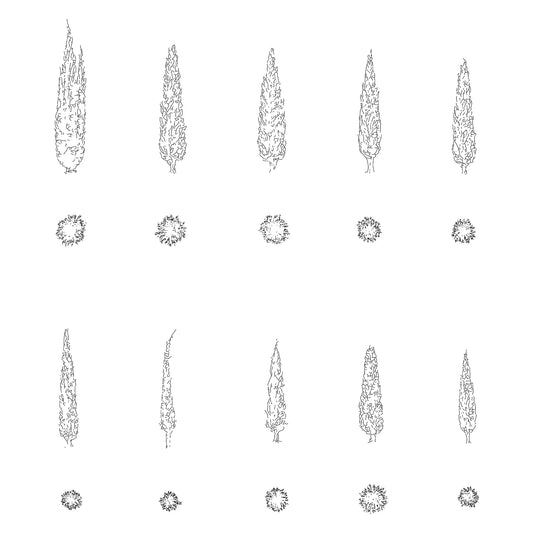 Ten CAD cypress trees in plan and elevation. Black and White.