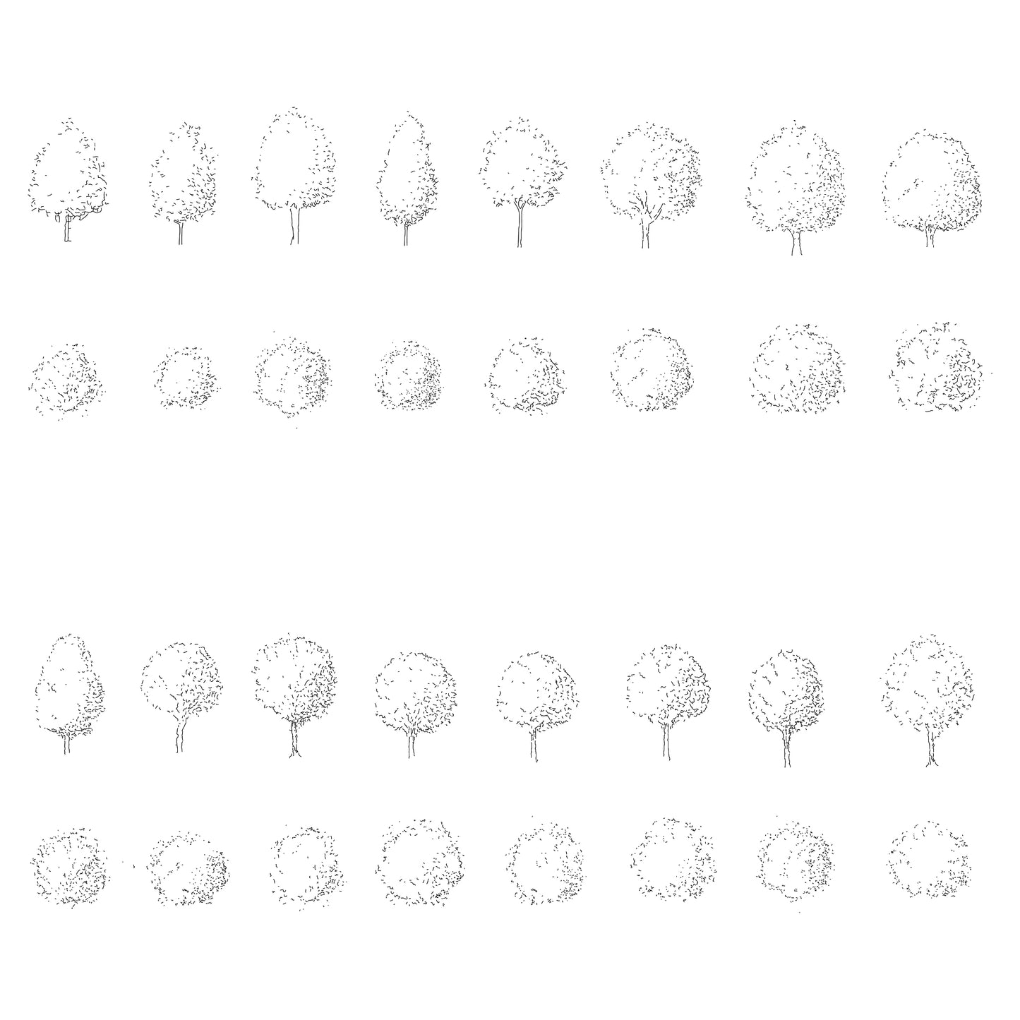 Sixteen CAD deciduous trees in plan and elevation. Black and White.