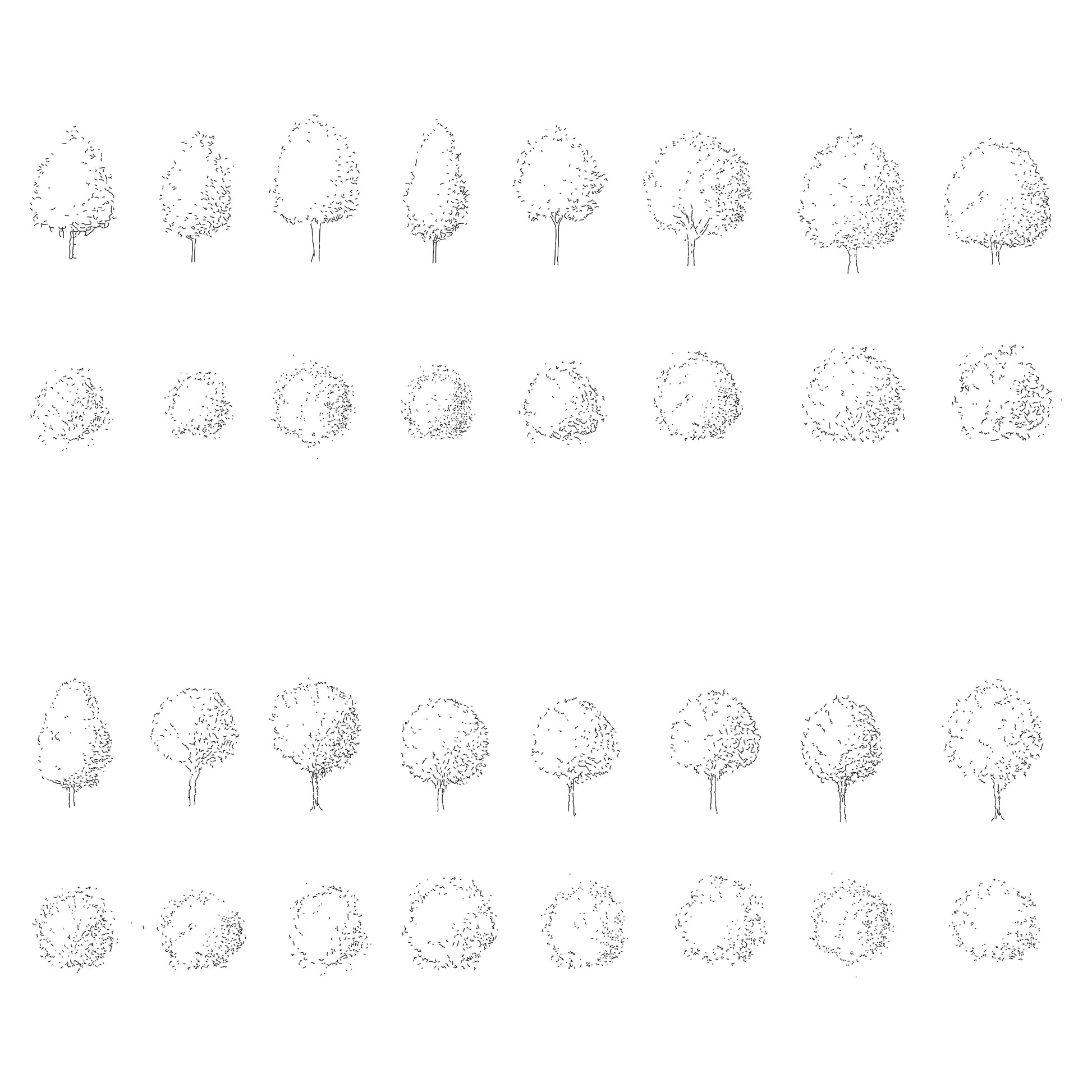 Sixteen CAD deciduous trees in plan and elevation. Black and White.