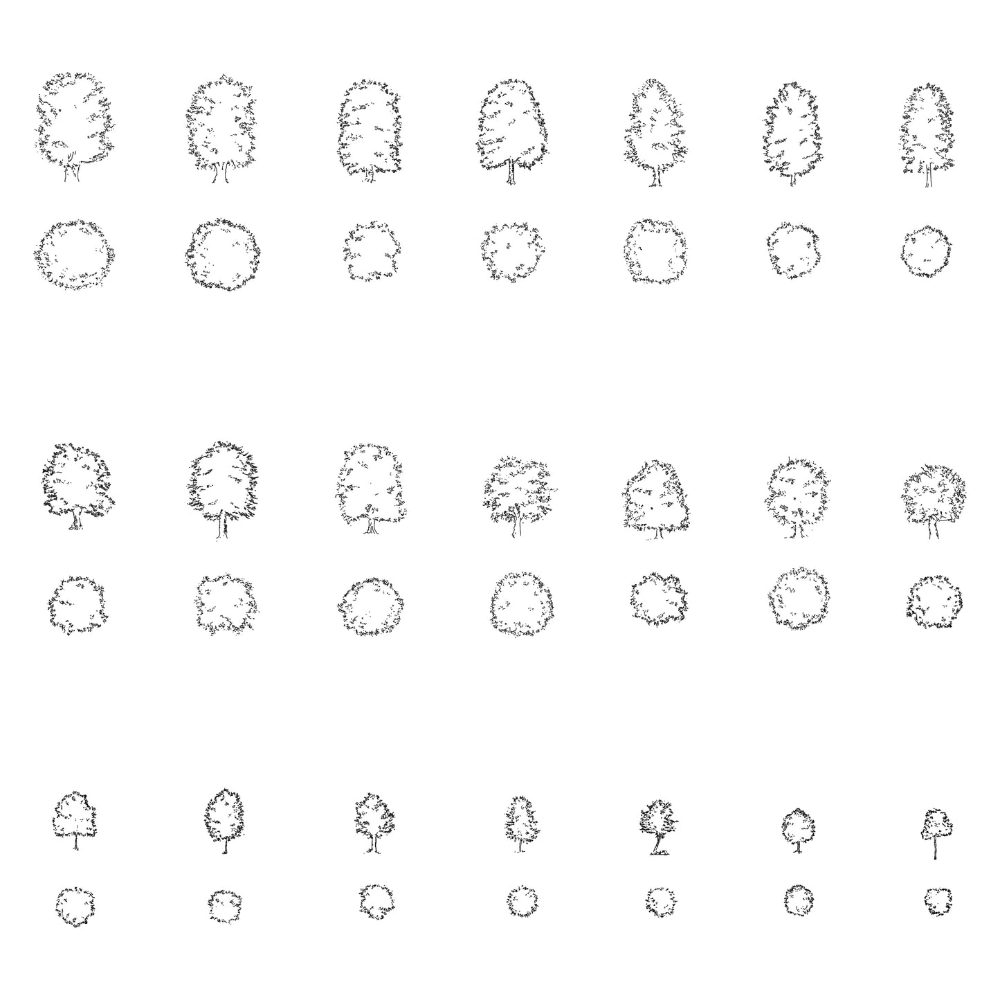 Twenty CAD deciduous trees in plan and elevation. Black and White.