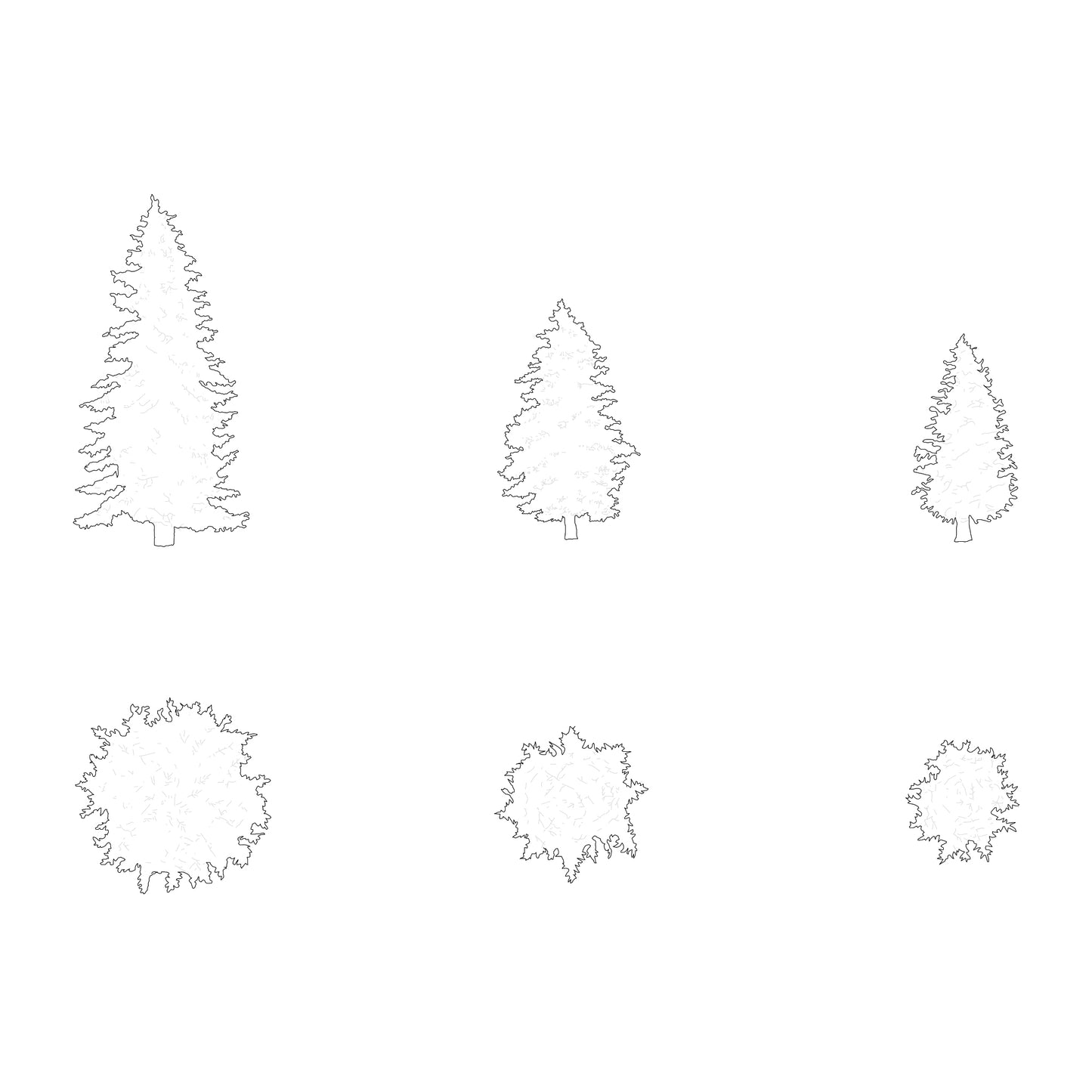 Cad drawing of three medium-size pine trees silhouettes. Black and white