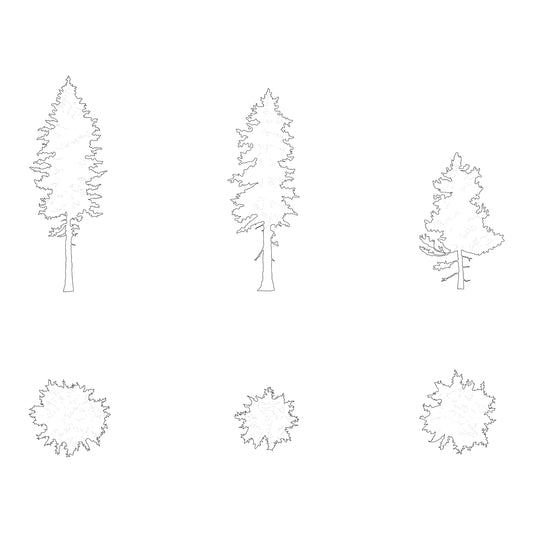 Cad drawing of three small pine trees silhouettes. Black and white