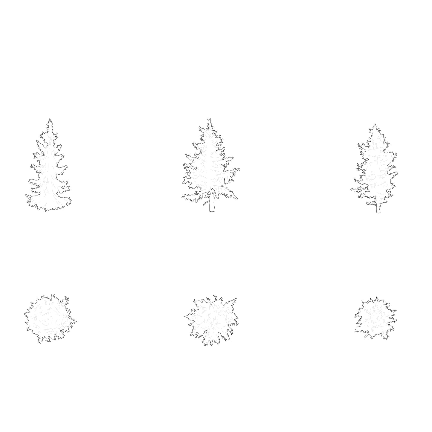 Cad drawing of three small pine trees silhouettes. Black and white