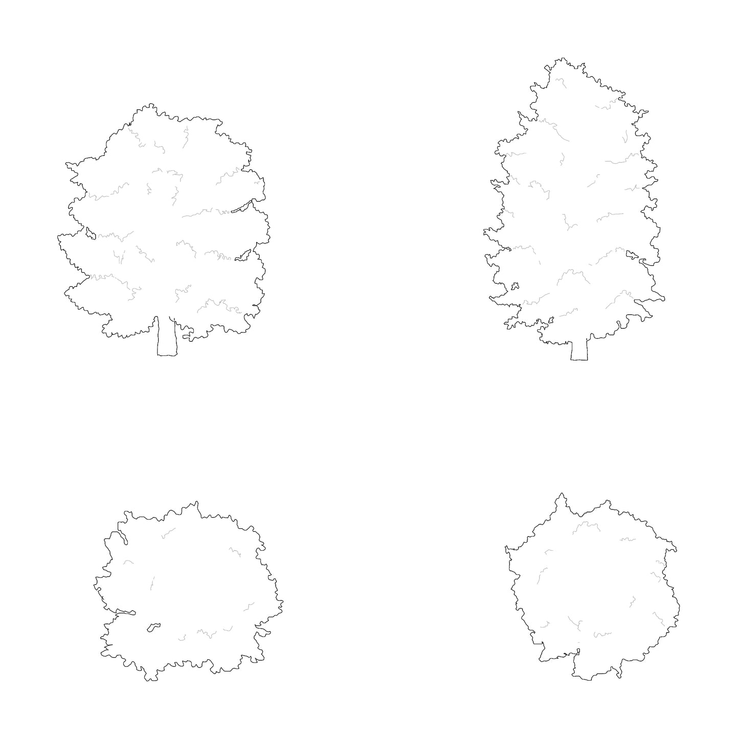 cad drawing of two silhouettes of deciduous trees in plan and elevation. Black and White.
