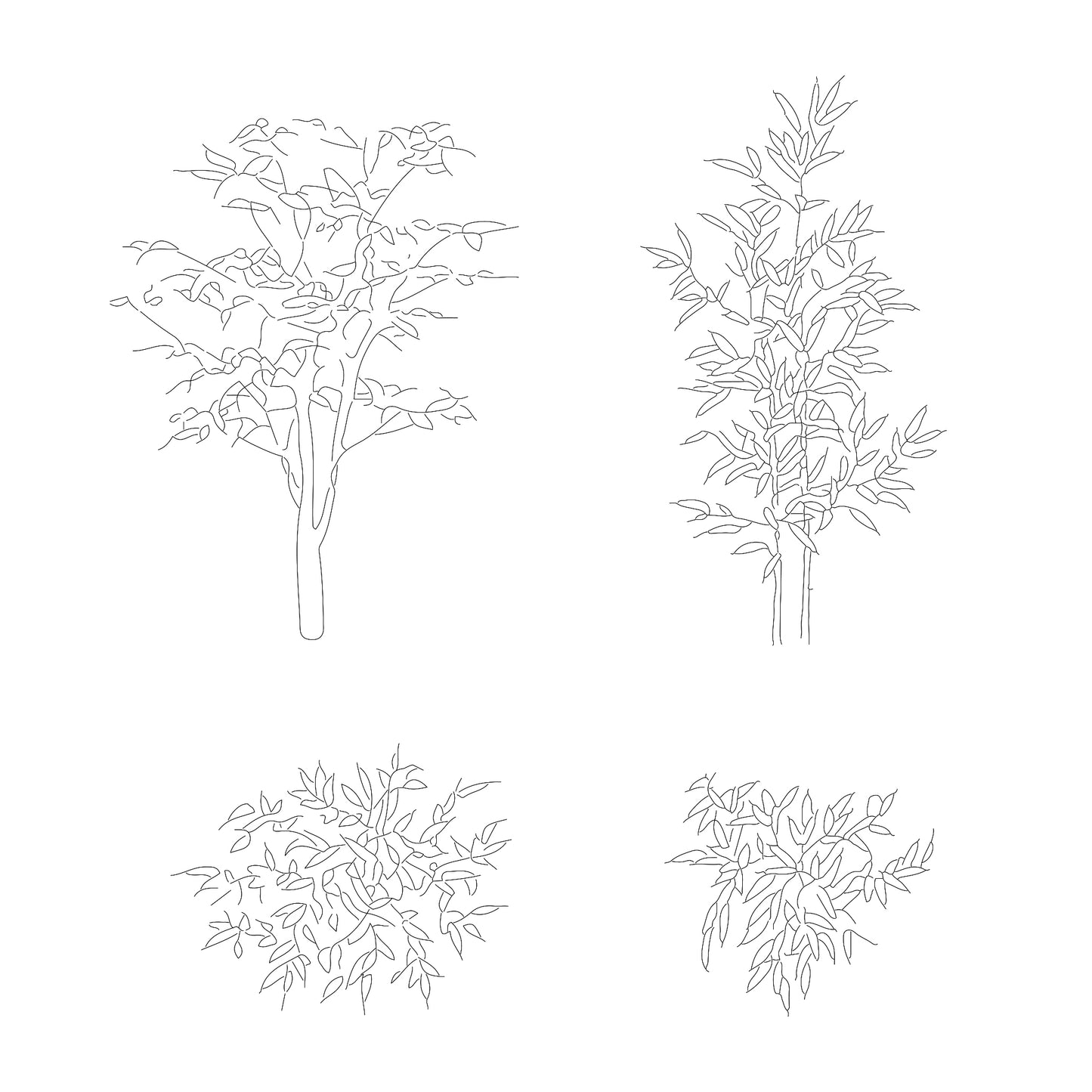 FREE plants DWG CAD Blocks in Plan and Elevation