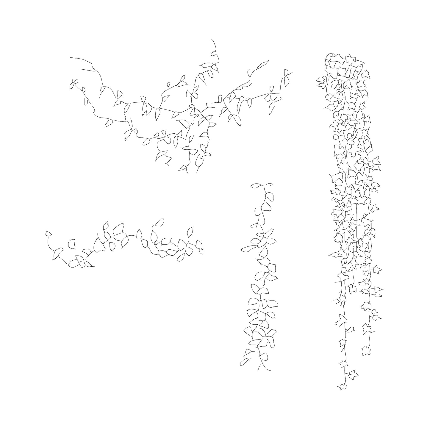 FREE plants DWG CAD Blocks in Plan and Elevation