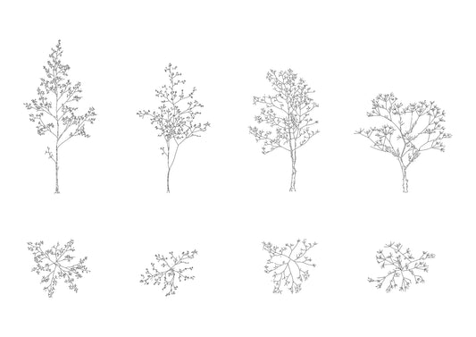 cad drawing of four trees in plan and elevation. Black and white drawing.