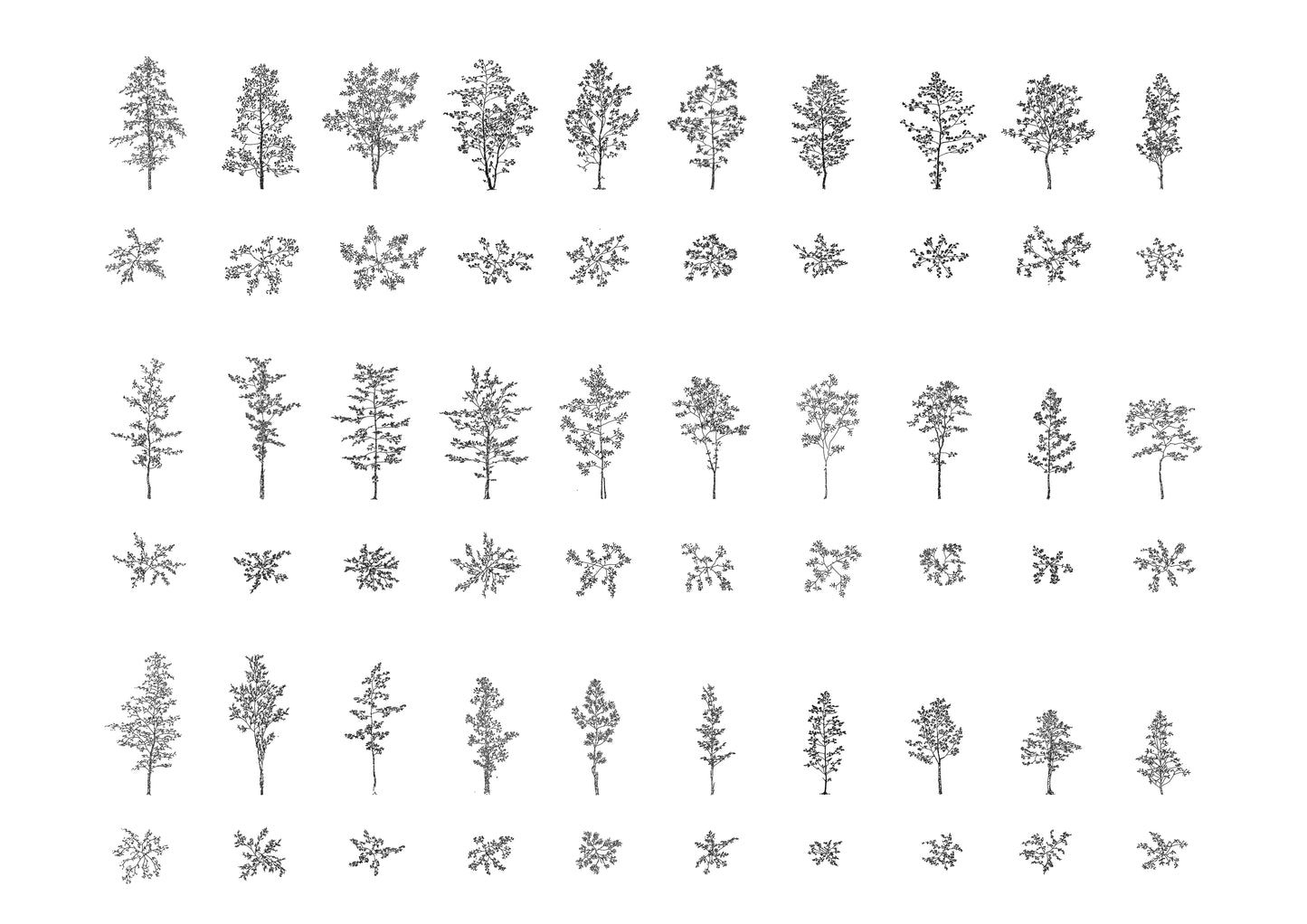 Trees and Pine Trees DWG CAD Blocks in Plan and Elevation (90 Pieces)