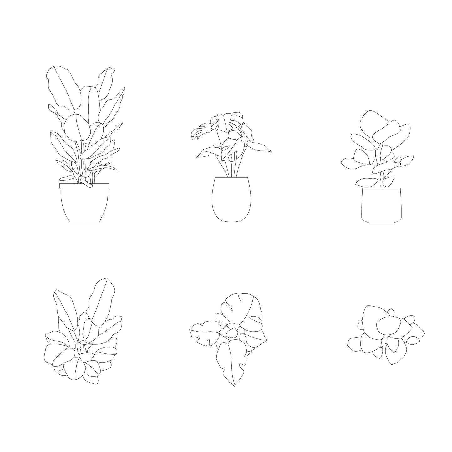FREE plants DWG CAD Blocks in Plan and Elevation