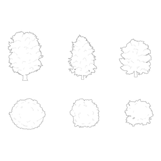 Three CAD deciduous trees silhouettes in plan and elevation. Black and White.