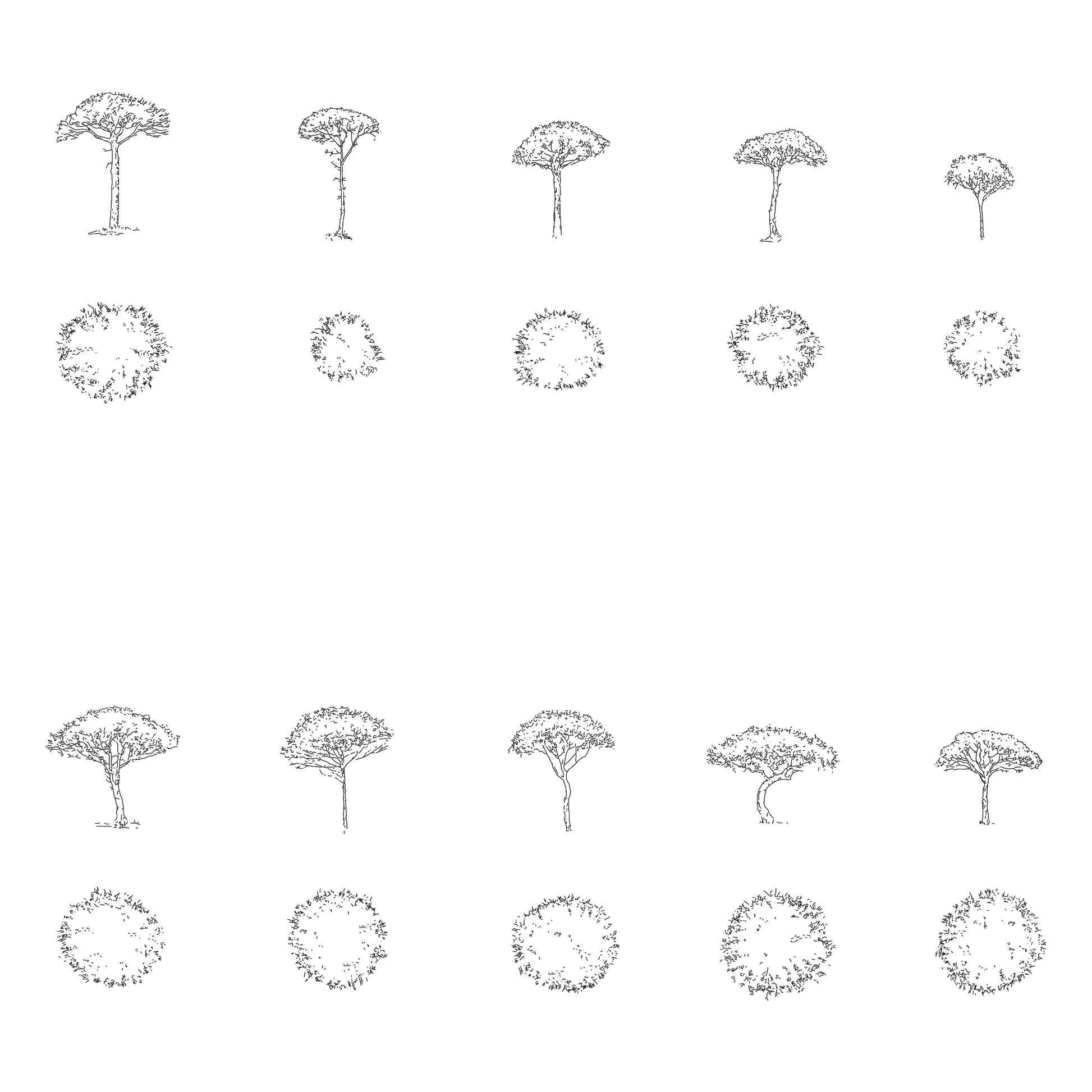 Ten CAD stone pine trees in plan and elevation. Black and White.