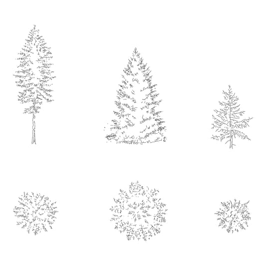 Three CAD pine trees in plan and elevation. Black and White.