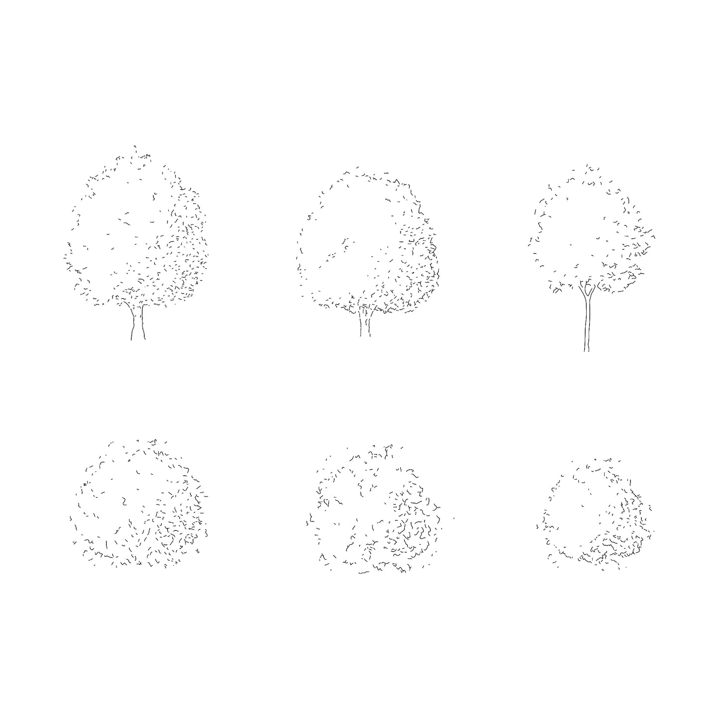 Three CAD deciduous trees in plan and elevation. Black and White.