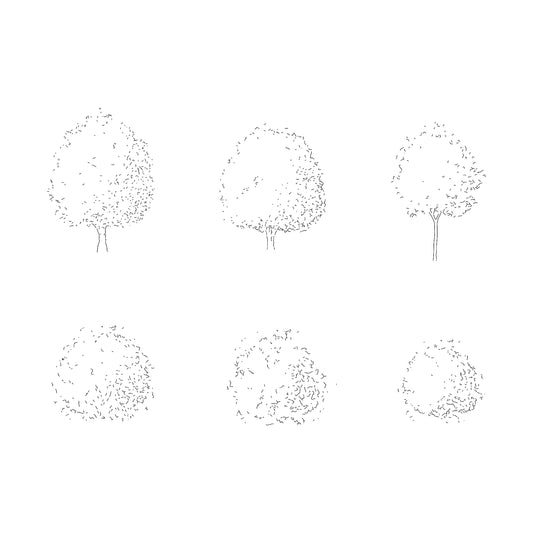 Three CAD deciduous trees in plan and elevation. Black and White.