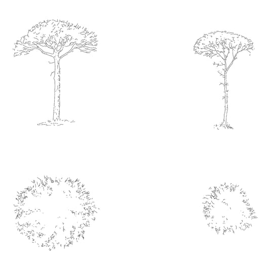 Two CAD stone pine trees in plan and elevation. Black and White.