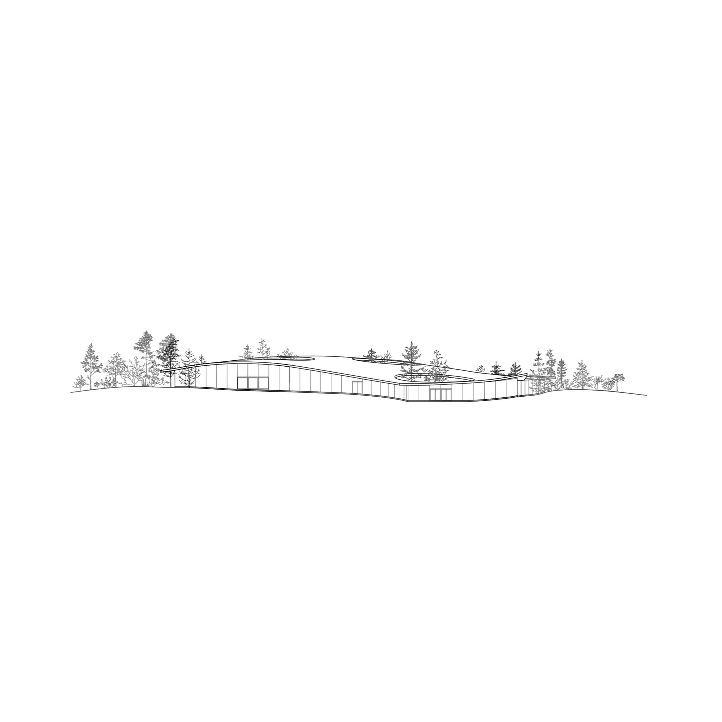 Trees and Pine Trees DWG CAD Blocks in Plan and Elevation (90 Pieces)