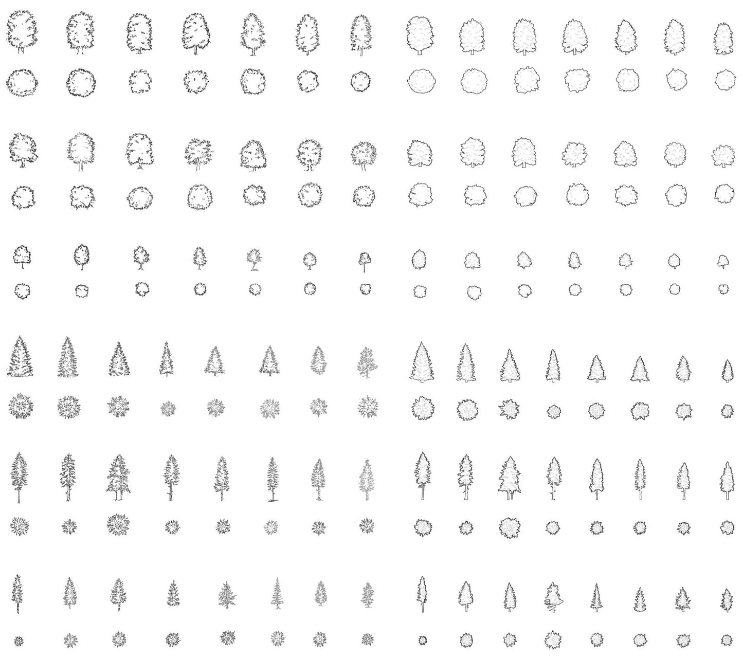 one-hundred cad drawings of deciduous trees and pine trees in plan and elevation. Black e white.