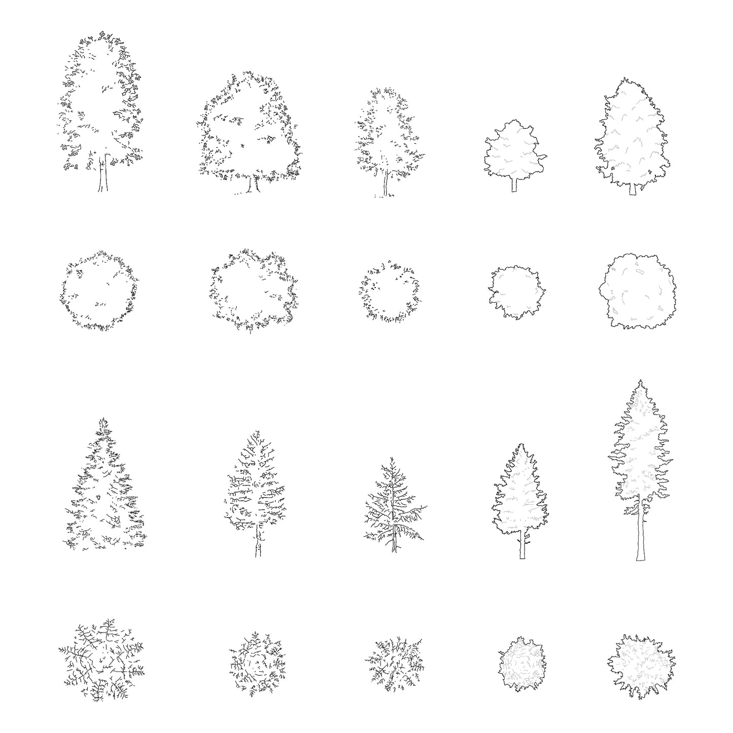 FREE Trees DWG CAD Blocks in Plan and Elevation