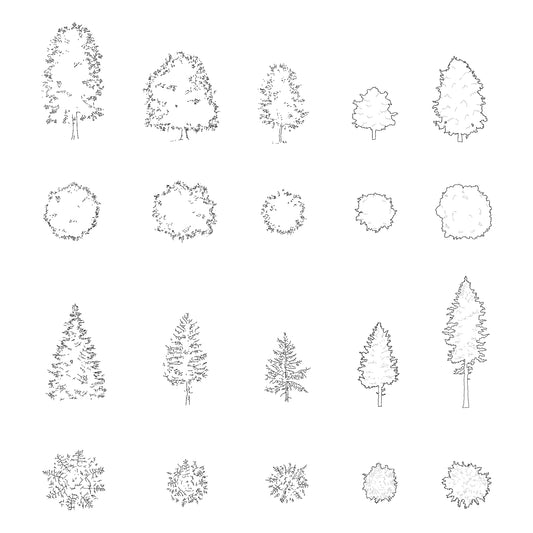 FREE Trees DWG CAD Blocks in Plan and Elevation