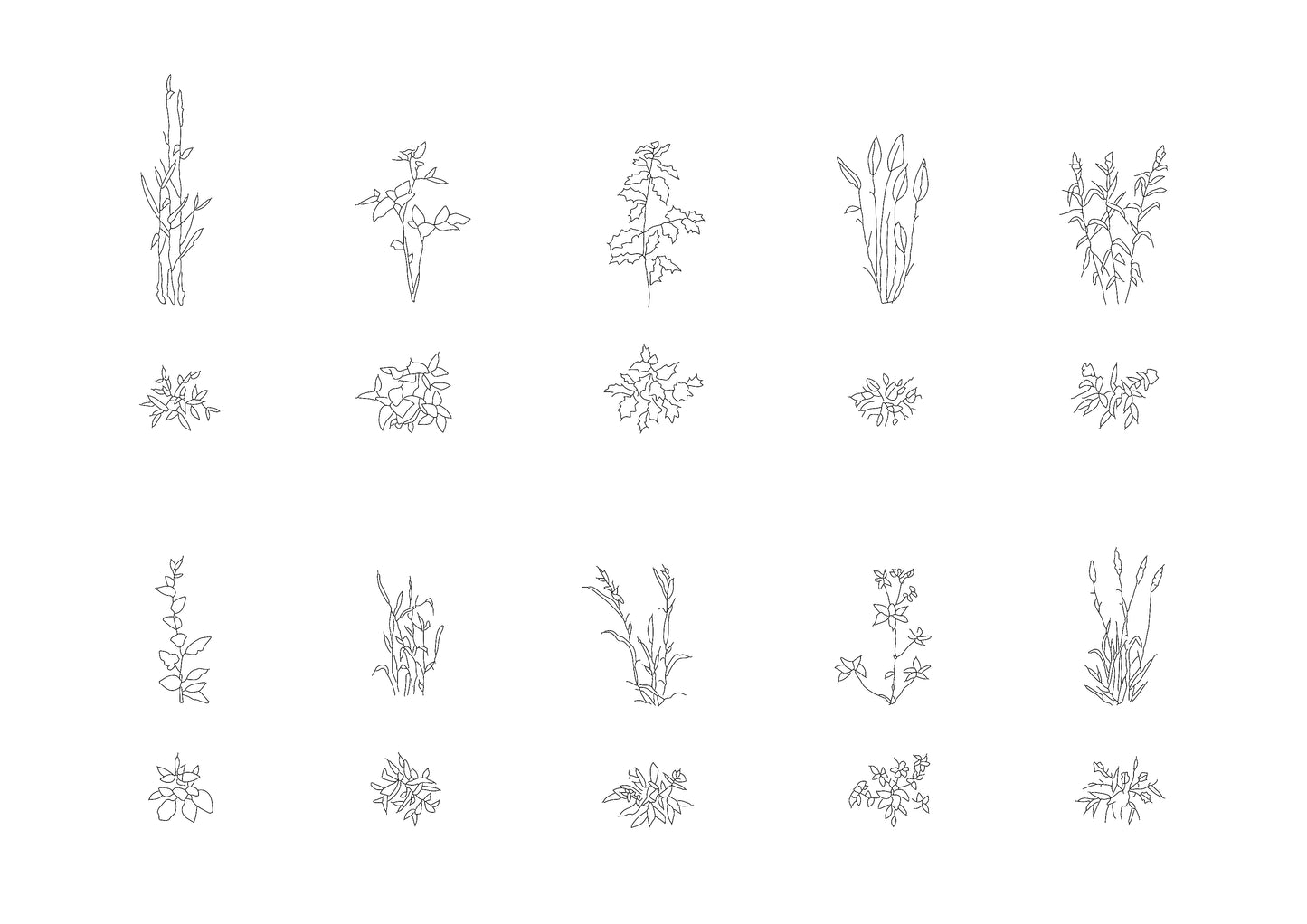Wild Plants and Flowers DWG CAD Blocks in Plan and Elevation