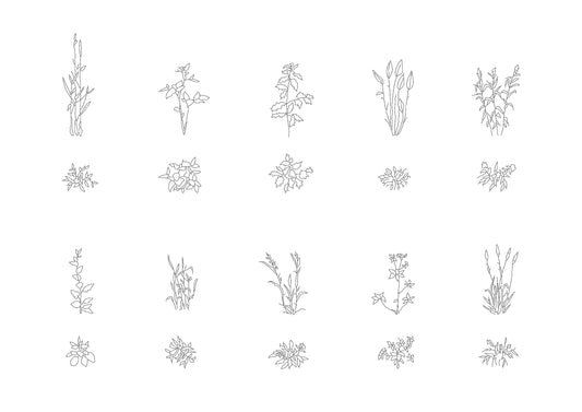 Wild Plants and Flowers DWG CAD Blocks in Plan and Elevation