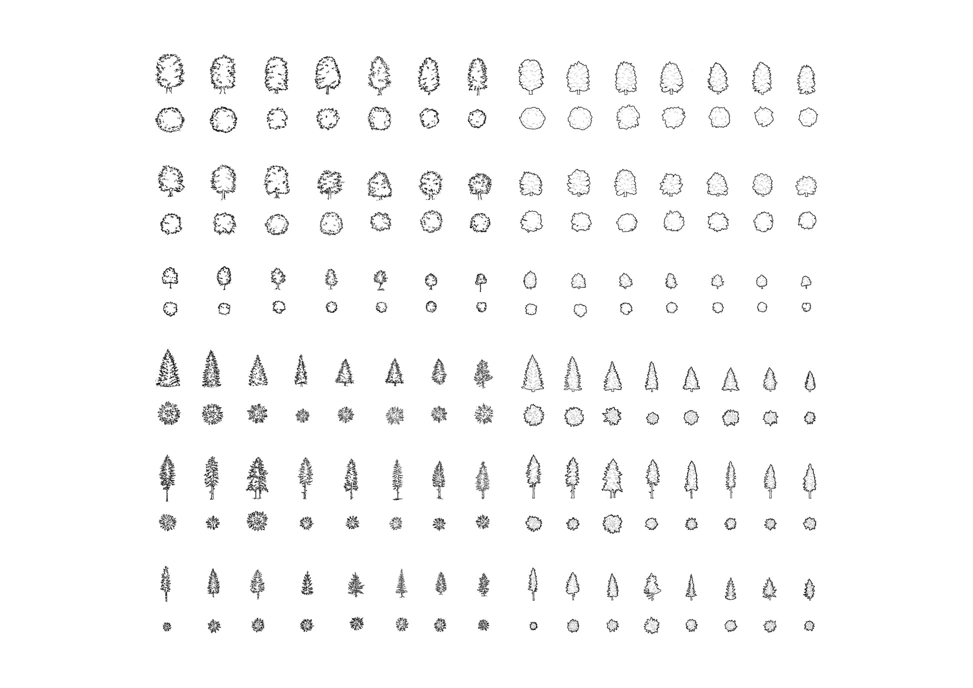 cad drawings of one-hundred trees and pine trees with silhouette-variation
