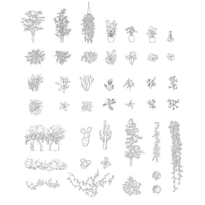 FREE plants DWG CAD Blocks in Plan and Elevation – Cadnature