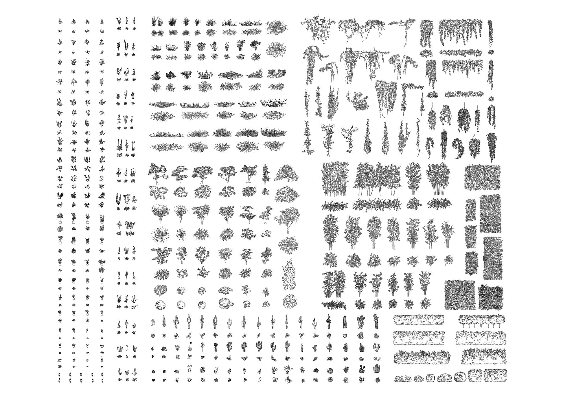 drawings of three-hundred plants cad blocks in plan and elevation
