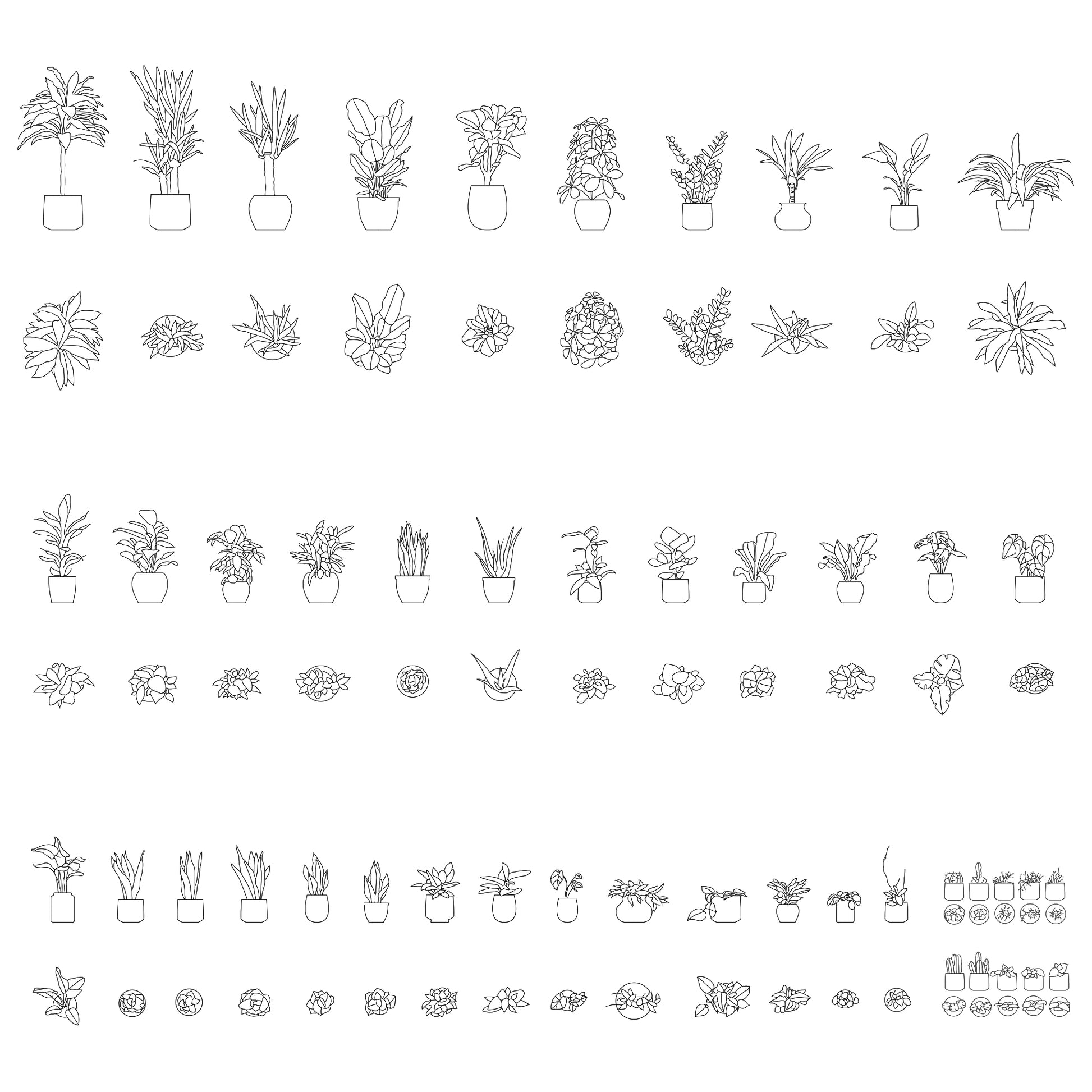 CAD drawing of potted plants in Plan and Elevation. Black and White