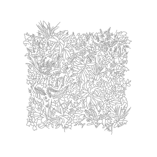 CAD drawing of a square Green Wall. Black and White