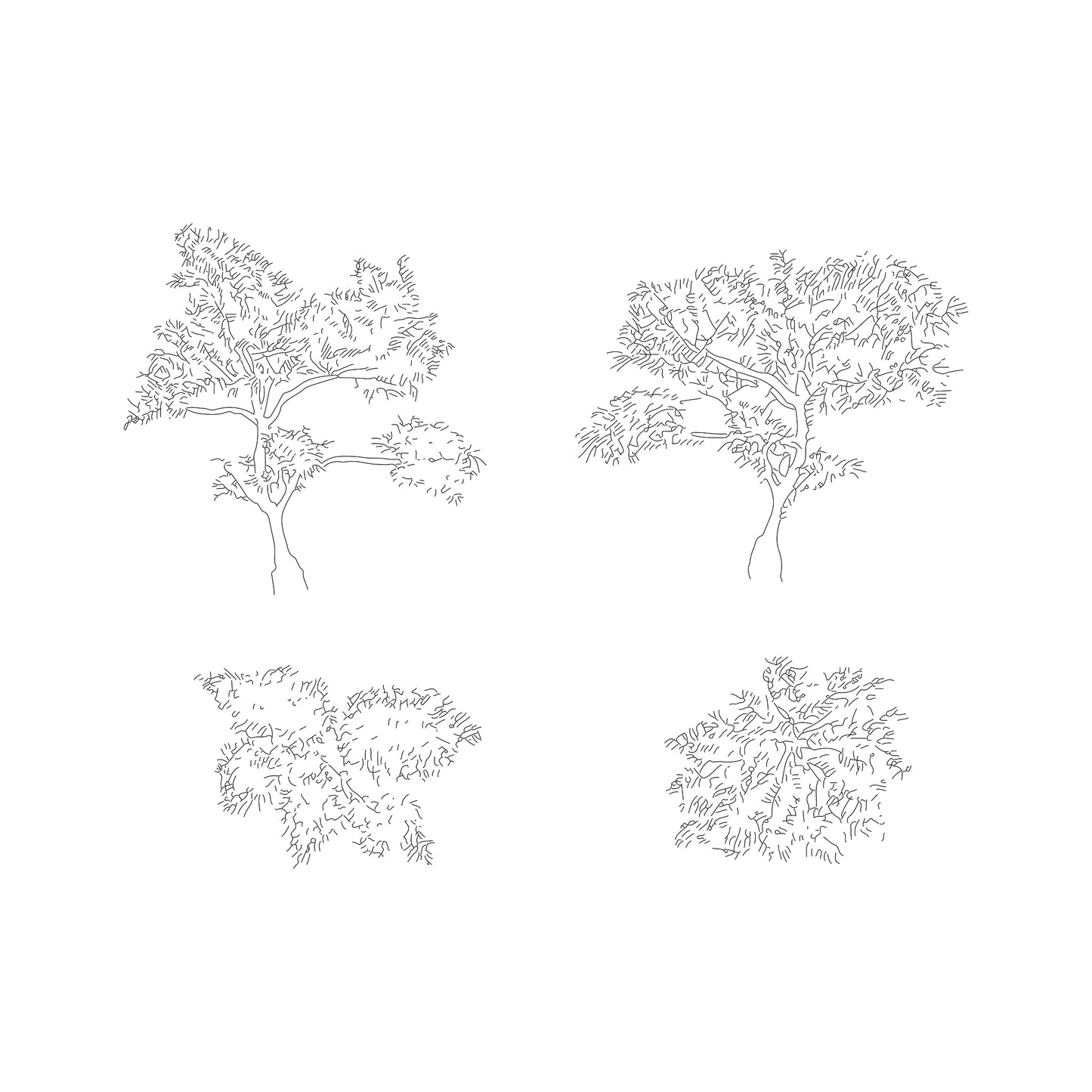CAD drawings of two japanese plants in plan and elevation. Black and white