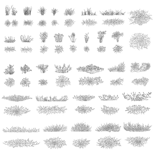 Cad drawings of various types of shrubs and bushes in plan and elevation. Black and white.