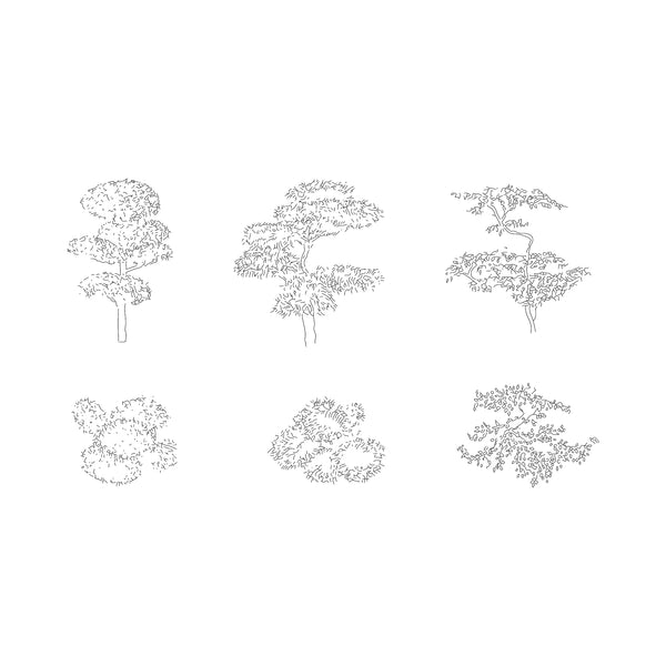 Japanese Plants and Trees DWG CAD Blocks in Plan and Elevation (25+ Pi ...