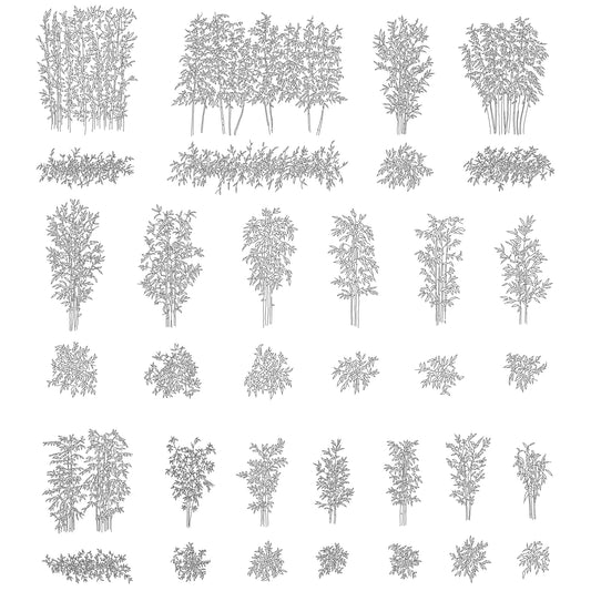 Cad drawings of twenty bamboo plants in plan and elevation. Black and white.