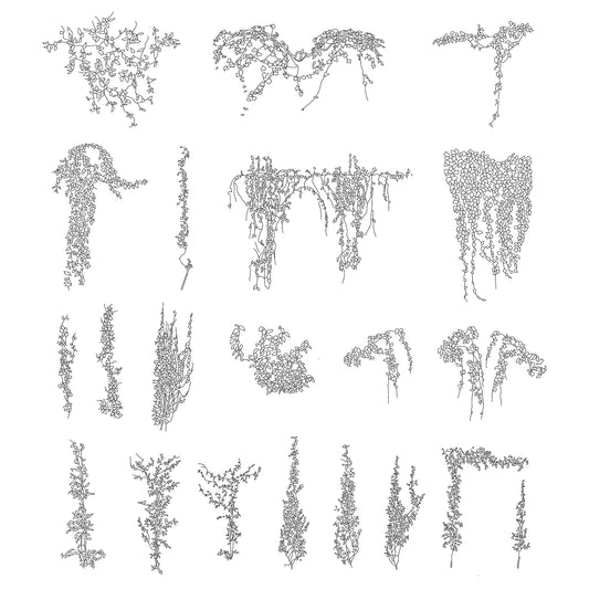 CAD drawings of twenty climbing plants in Elevation. Black and White