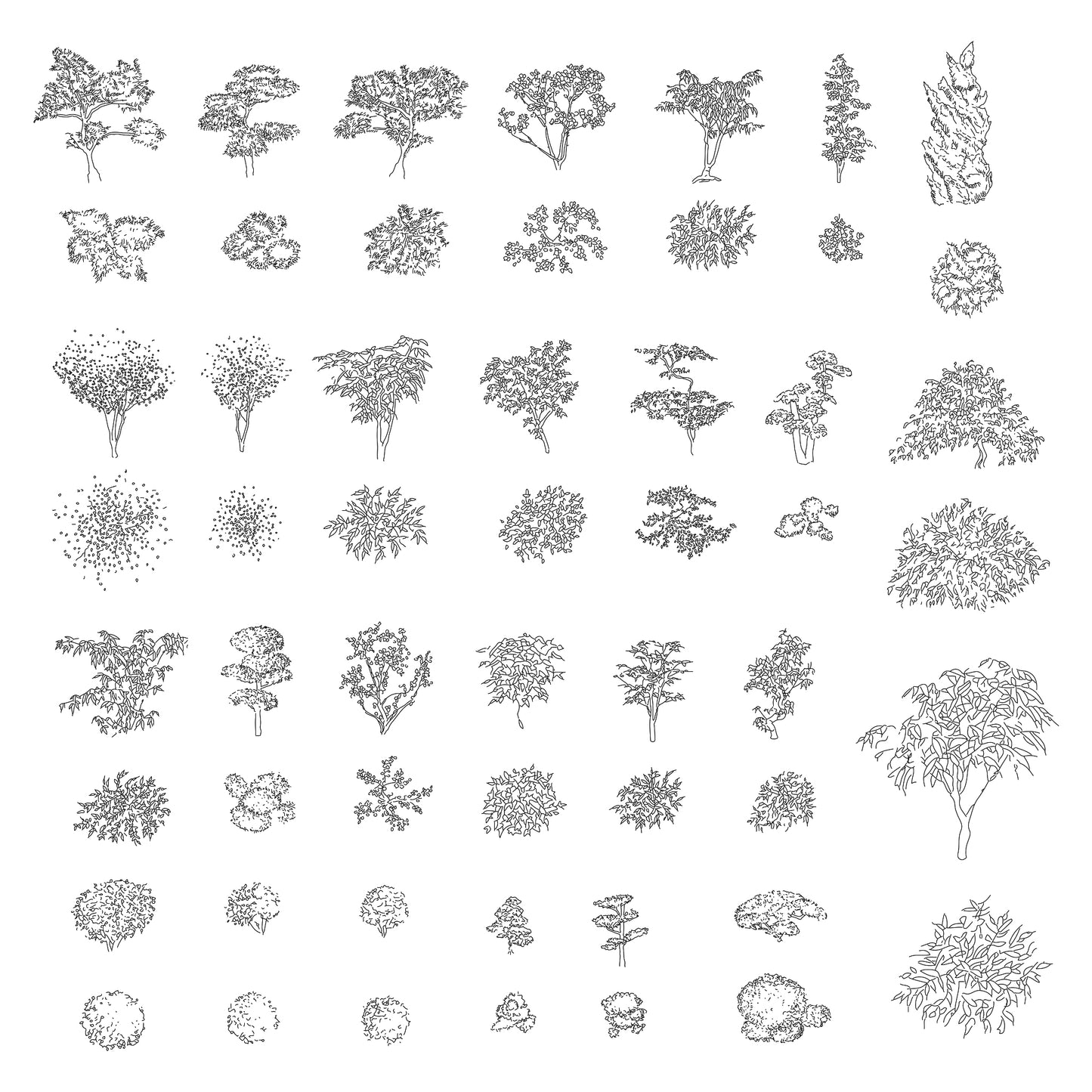 CAD drawings of Japanese garden trees and plants in Plan and Elevation. Black and White