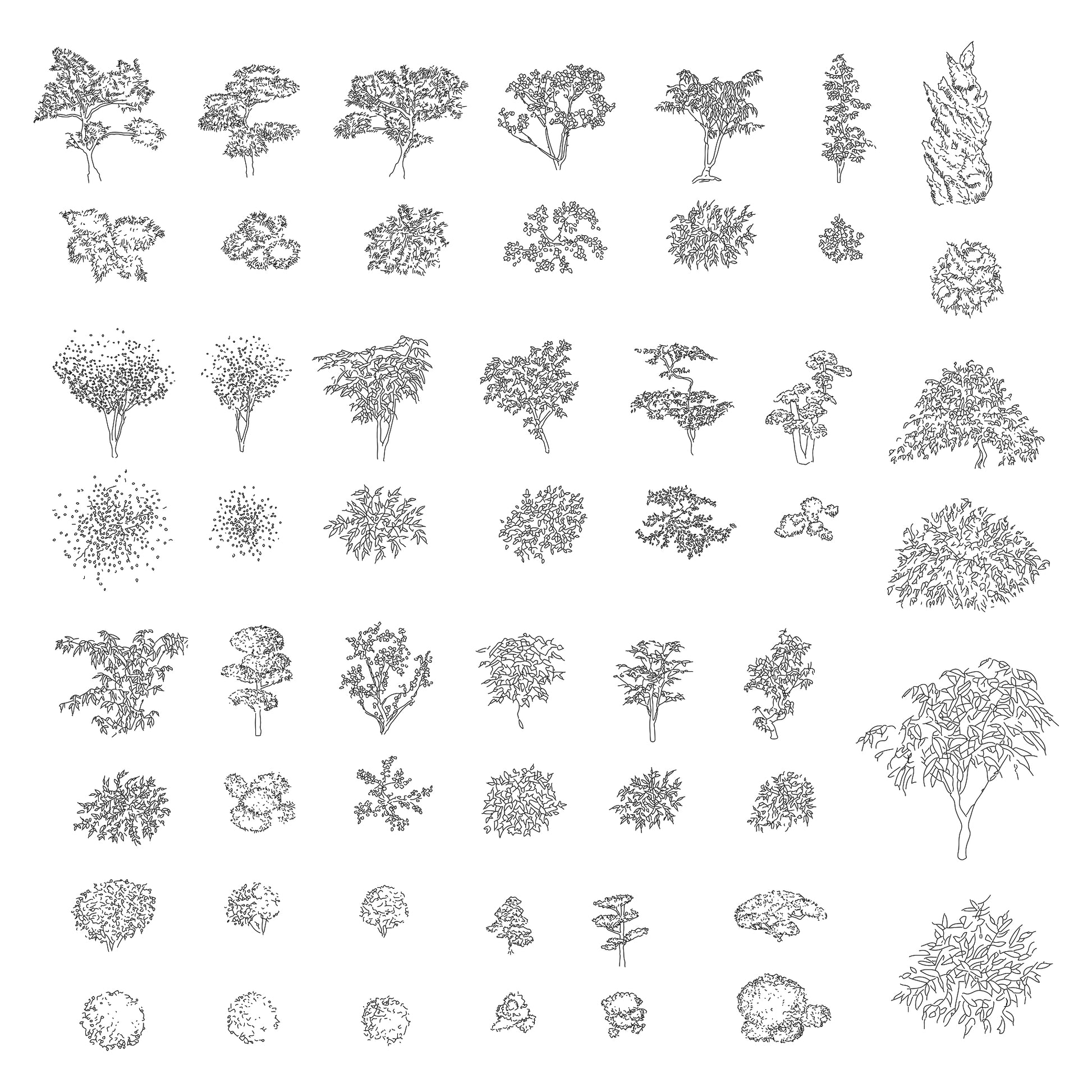 Japanese Plants And Trees DWG CAD Blocks In Plan And Elevation 25 Pi japanese-plants-and-trees-dwg-cad-blocks-in-plan-and-elevation-25-pi