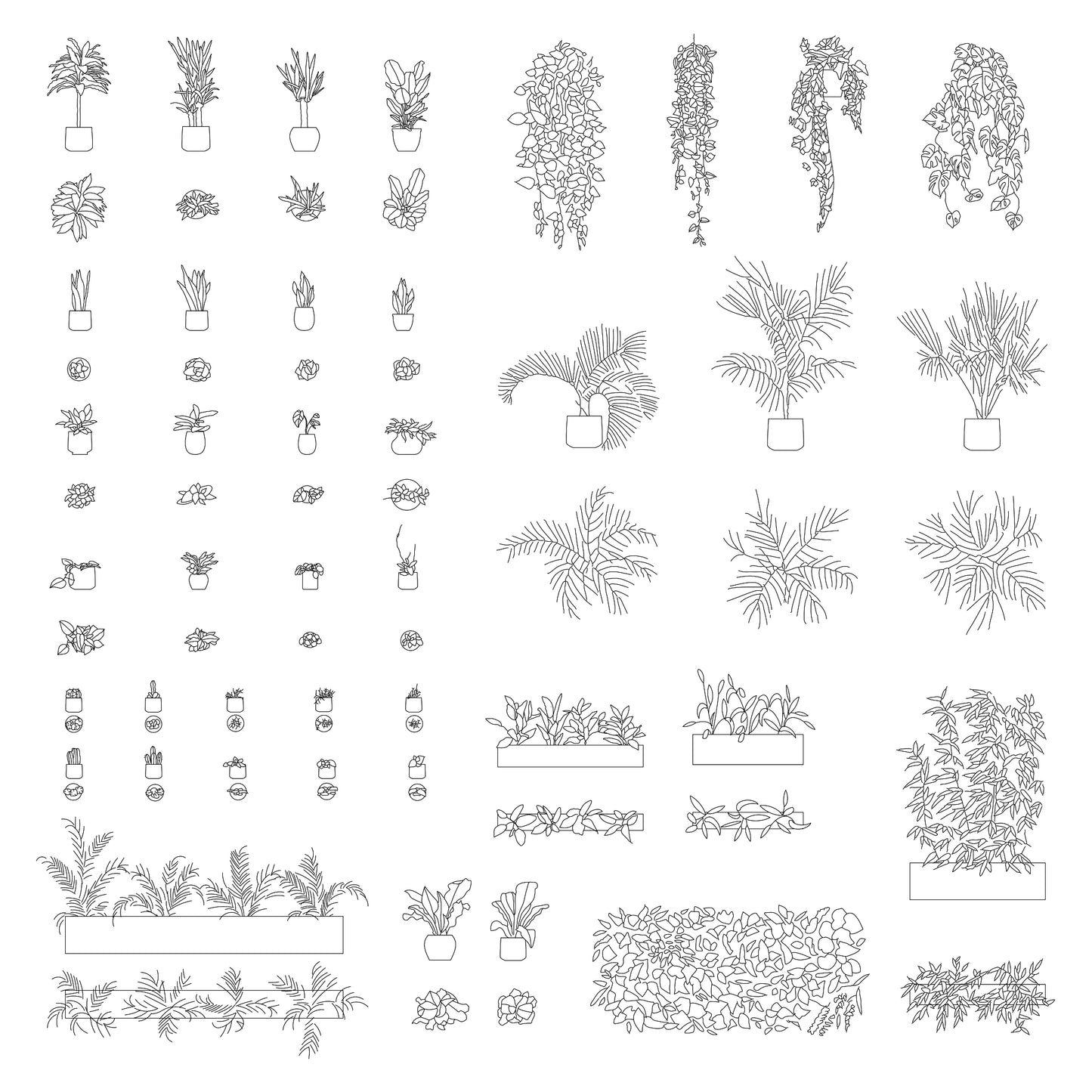 Office Plants DWG CAD Blocks in Plan and Elevation