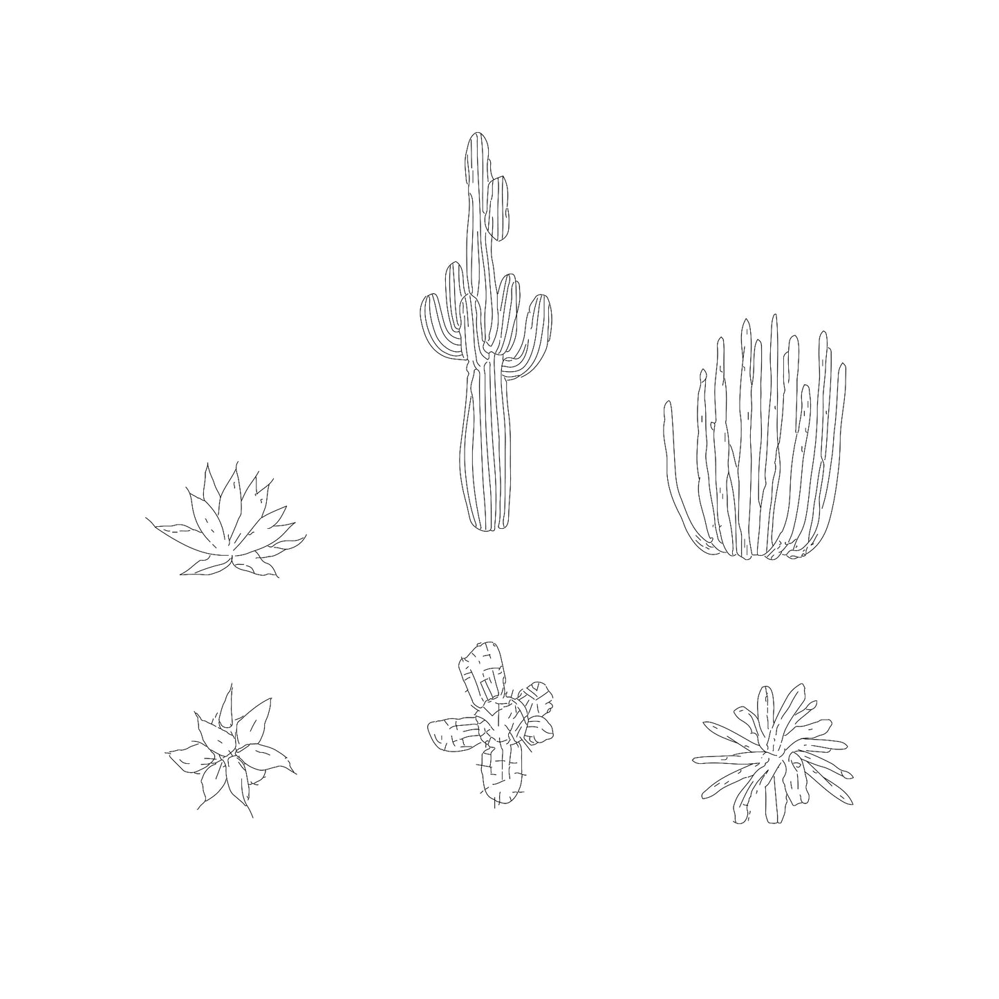 Cactus and Desert Plants DWG CAD Blocks in Plan and Elevation