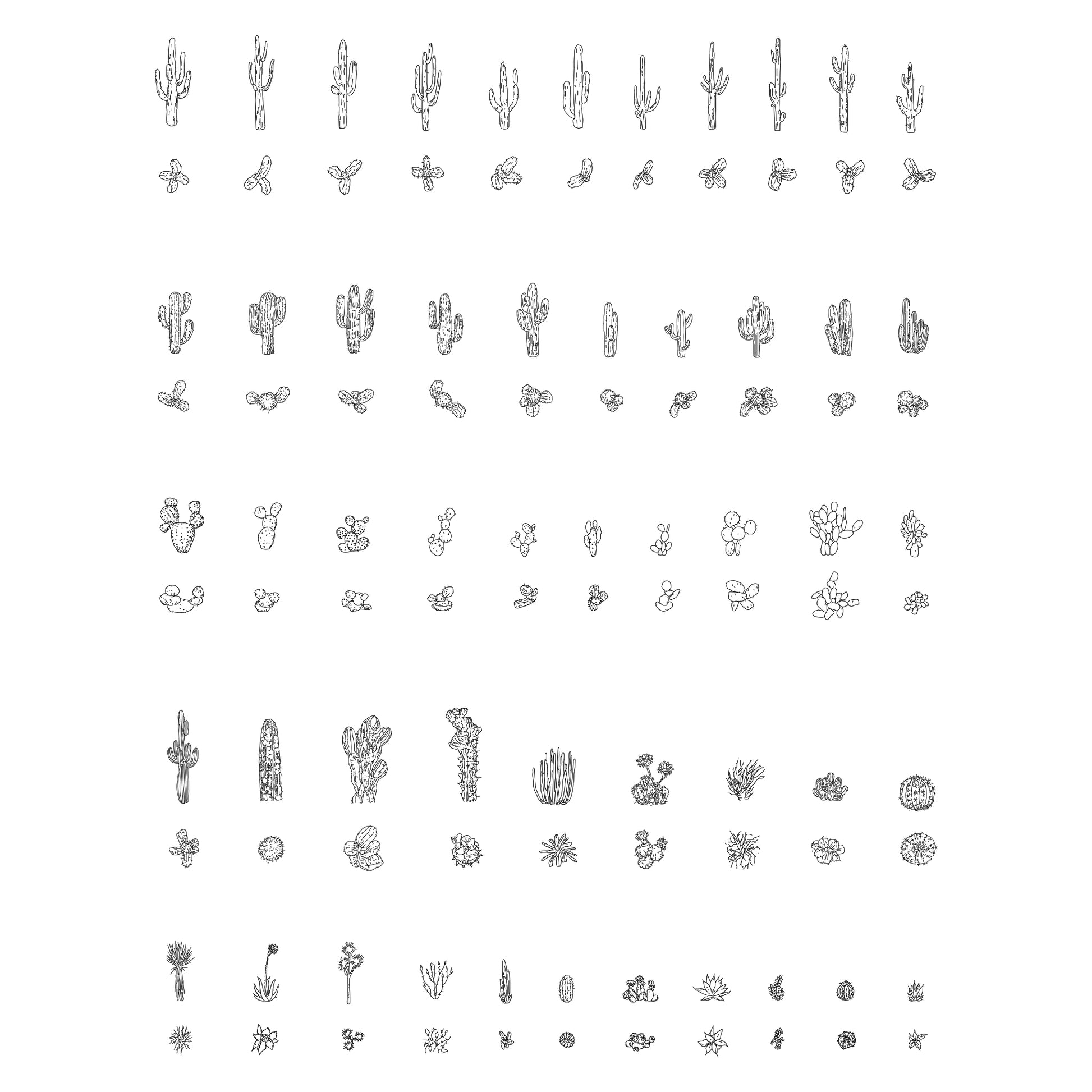 Fifty CAD cactus and desert plants in plan and elevation. Black and White.