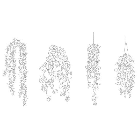 CAD drawing of 4 indoor hanging plants in elevation. Black and white