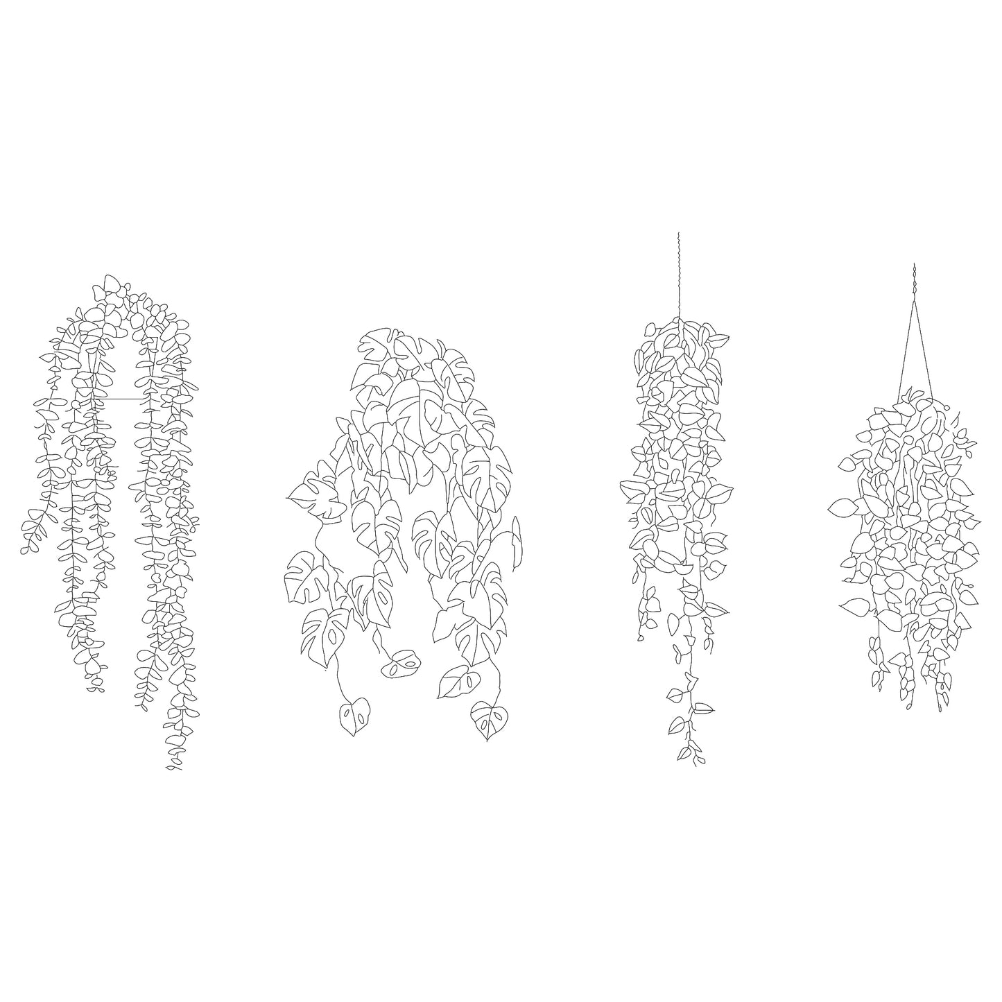 CAD drawing of 4 indoor hanging plants in elevation. Black and white