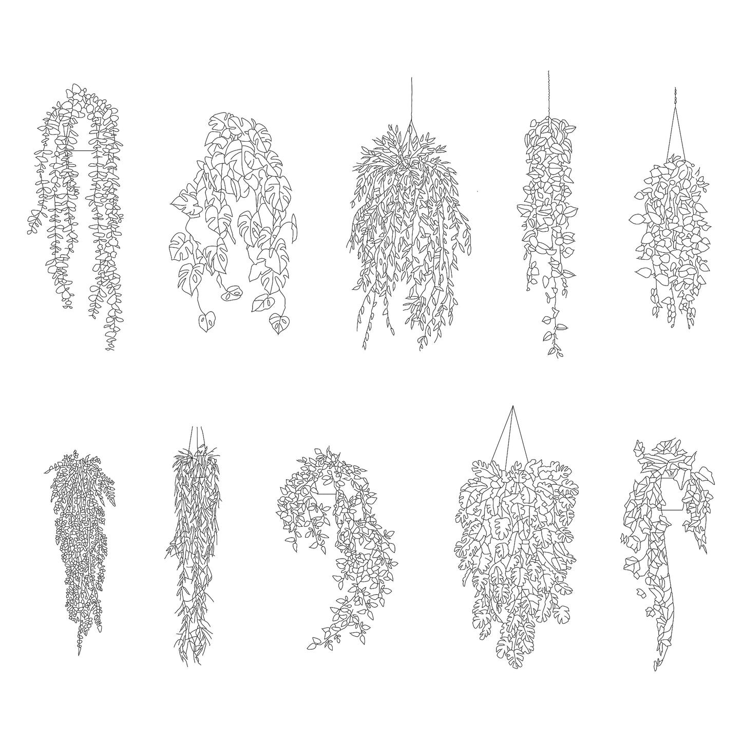 CAD drawing of 10 indoor hanging plants in elevation. Black and white