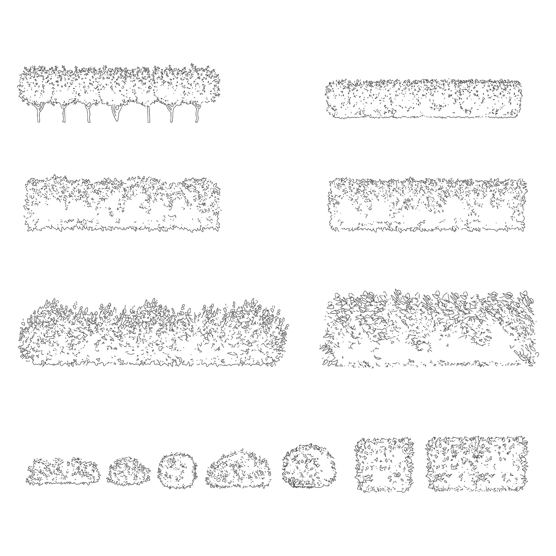 CAD drawing of 12 hedges in Elevation. Black and White