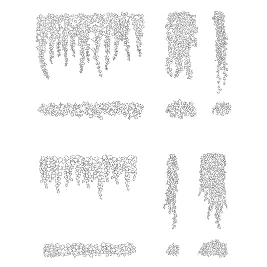 CAD drawing of Ivy hanging plants in Plan and Elevation. Black and White